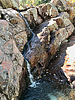 photo thumbnail #8