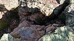 photo thumbnail #6