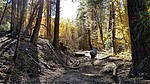 photo thumbnail #3