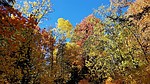 photo thumbnail #8