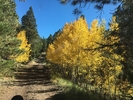 photo thumbnail #5