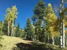 photo thumbnail #7