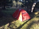 photo thumbnail #15