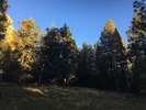 recent photo