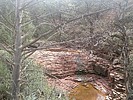 photo thumbnail #1