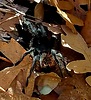 photo thumbnail #2