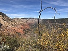 photo thumbnail #14