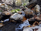 photo thumbnail #7