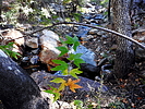 photo thumbnail #8