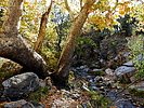 photo thumbnail #12