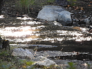 photo thumbnail #13