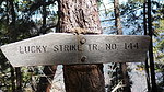 photo thumbnail #2