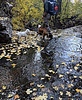 photo thumbnail #8