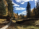 photo thumbnail #5