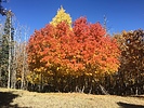 photo thumbnail #2