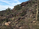 photo thumbnail #1