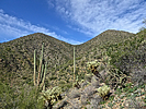 photo thumbnail #13