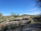 photo thumbnail #4
