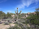photo thumbnail #10