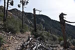 photo thumbnail #11