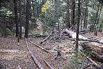 photo thumbnail #14