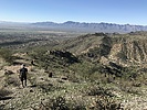 photo thumbnail #6