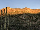 photo thumbnail #9