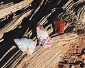 photo thumbnail #8