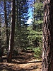 photo thumbnail #12