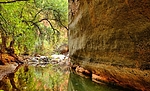 photo thumbnail #8