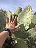 photo thumbnail #9
