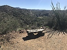 photo thumbnail #2