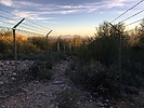 recent photo