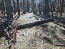 photo thumbnail #6