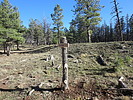 photo thumbnail #10