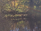 photo thumbnail #12