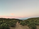 photo thumbnail #1
