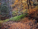 photo thumbnail #11
