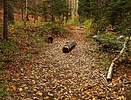 photo thumbnail #15
