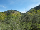 photo thumbnail #10
