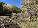 photo thumbnail #6