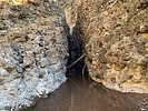 photo thumbnail #12