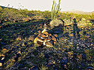 photo thumbnail #4