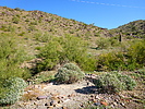 photo thumbnail #9