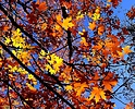 photo thumbnail #7