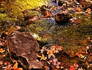photo thumbnail #10