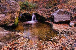 photo thumbnail #11
