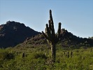 photo thumbnail #14