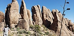 photo thumbnail #8