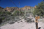 photo thumbnail #15